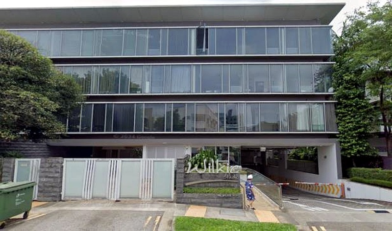 Wilkie Studio @ 86 Wilkie Road